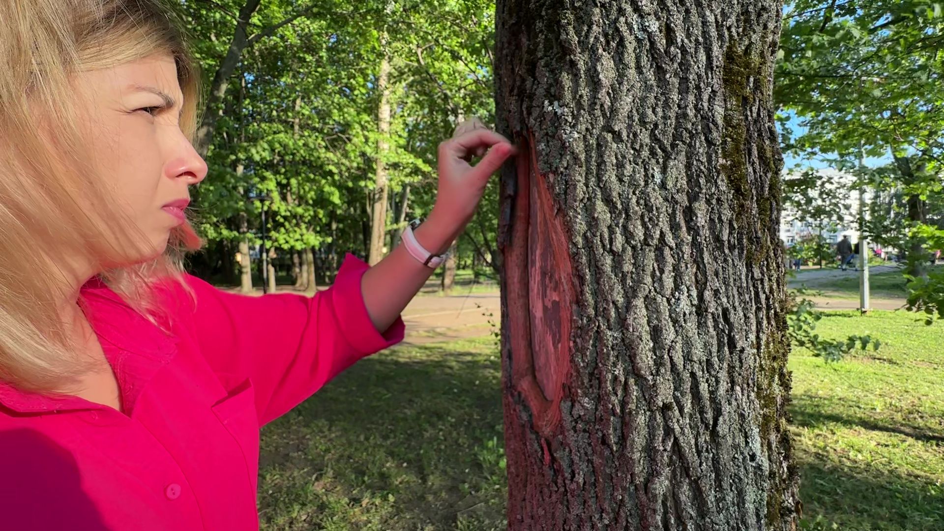 Реутов, парк, спаси дерево, рисунки, художник,