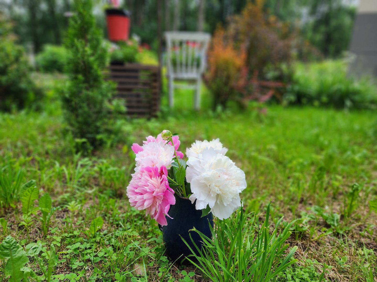 красноармейск, г.о. пушкинский, пленэр, дополнительное образование,