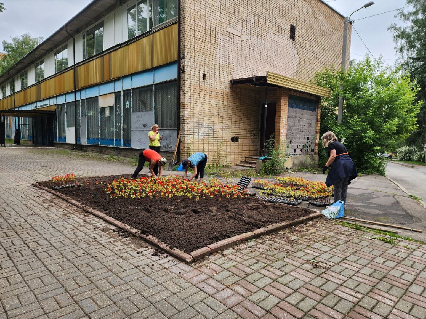 пущино, серпухов, благоустройство, клумбы,