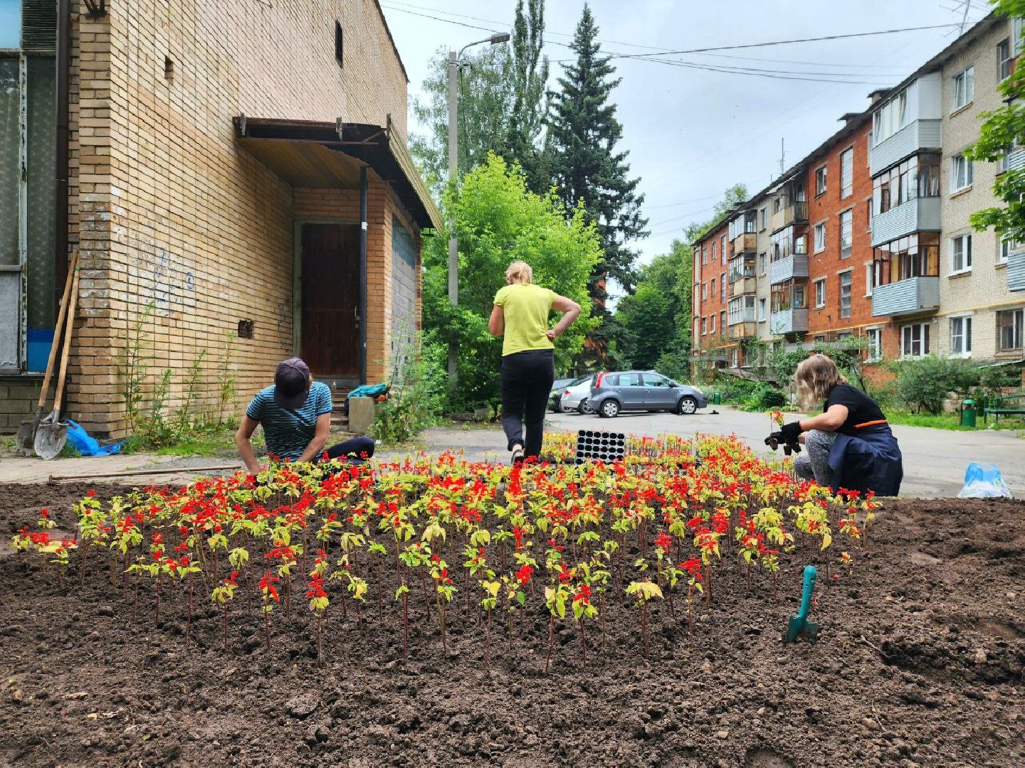 пущино, серпухов, благоустройство, клумбы,