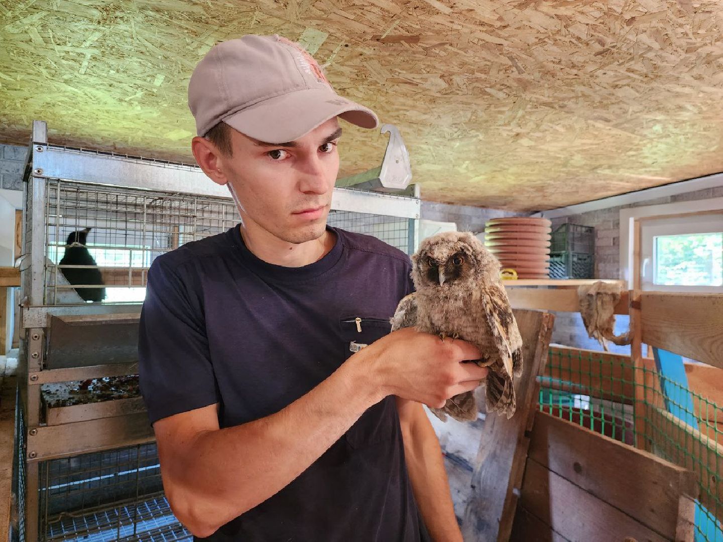можайск, можайский городской округ, подмосковье, экология, помощь диким животным, дикие животные, куница, сова, грач,