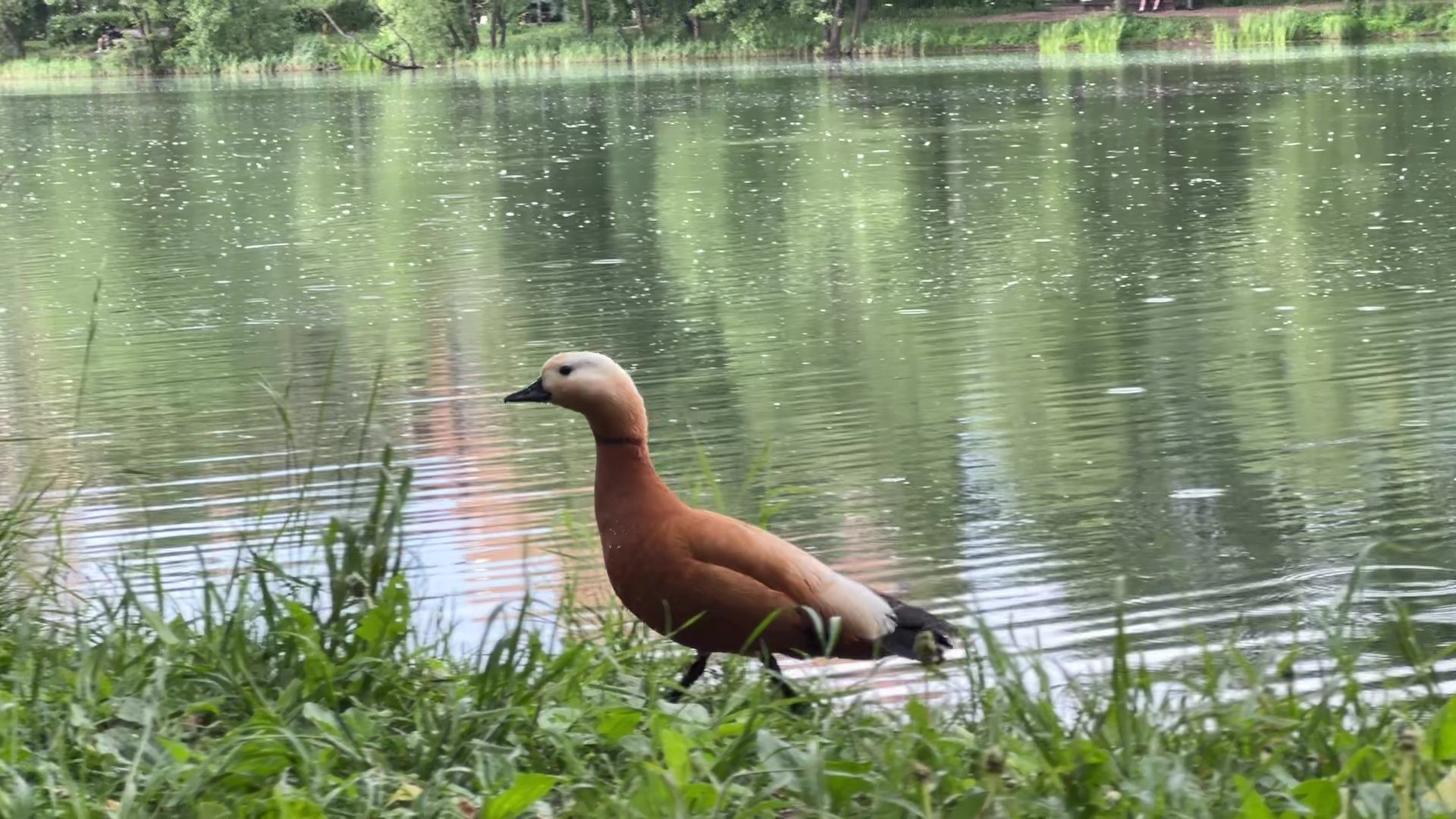 Реутов, индекс, город-сказка, качество городской среды,