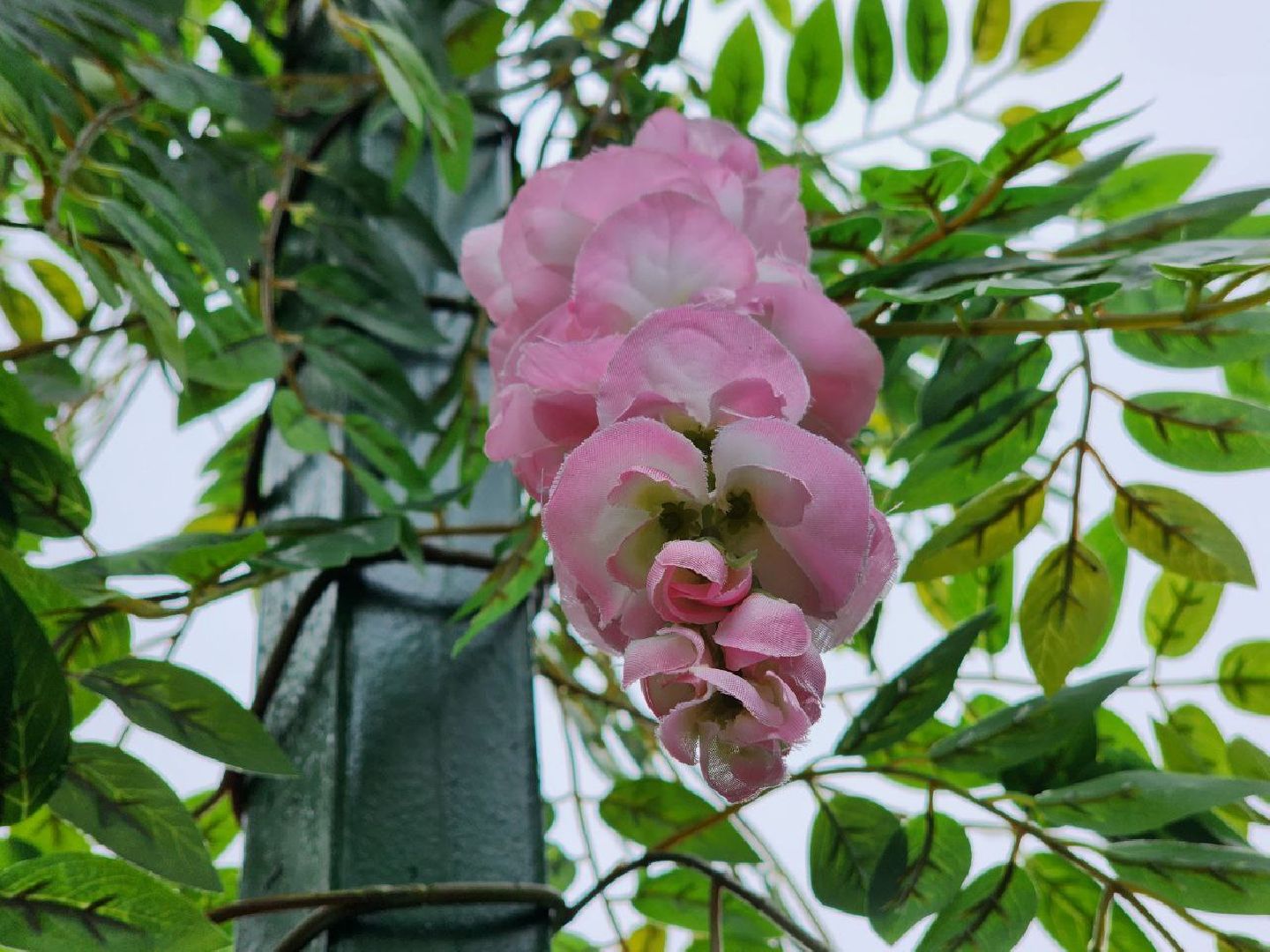 можайск, можайский городской округ, подмосковье, благоустройство, фотозоны, жители, благоустройство улиц, украшение города,