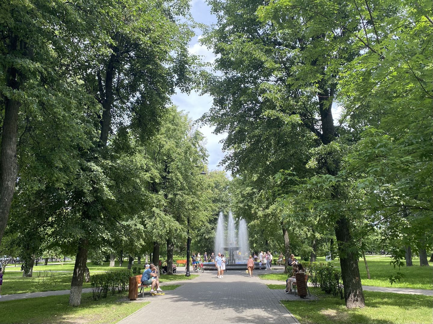 медицина, парк, коломна