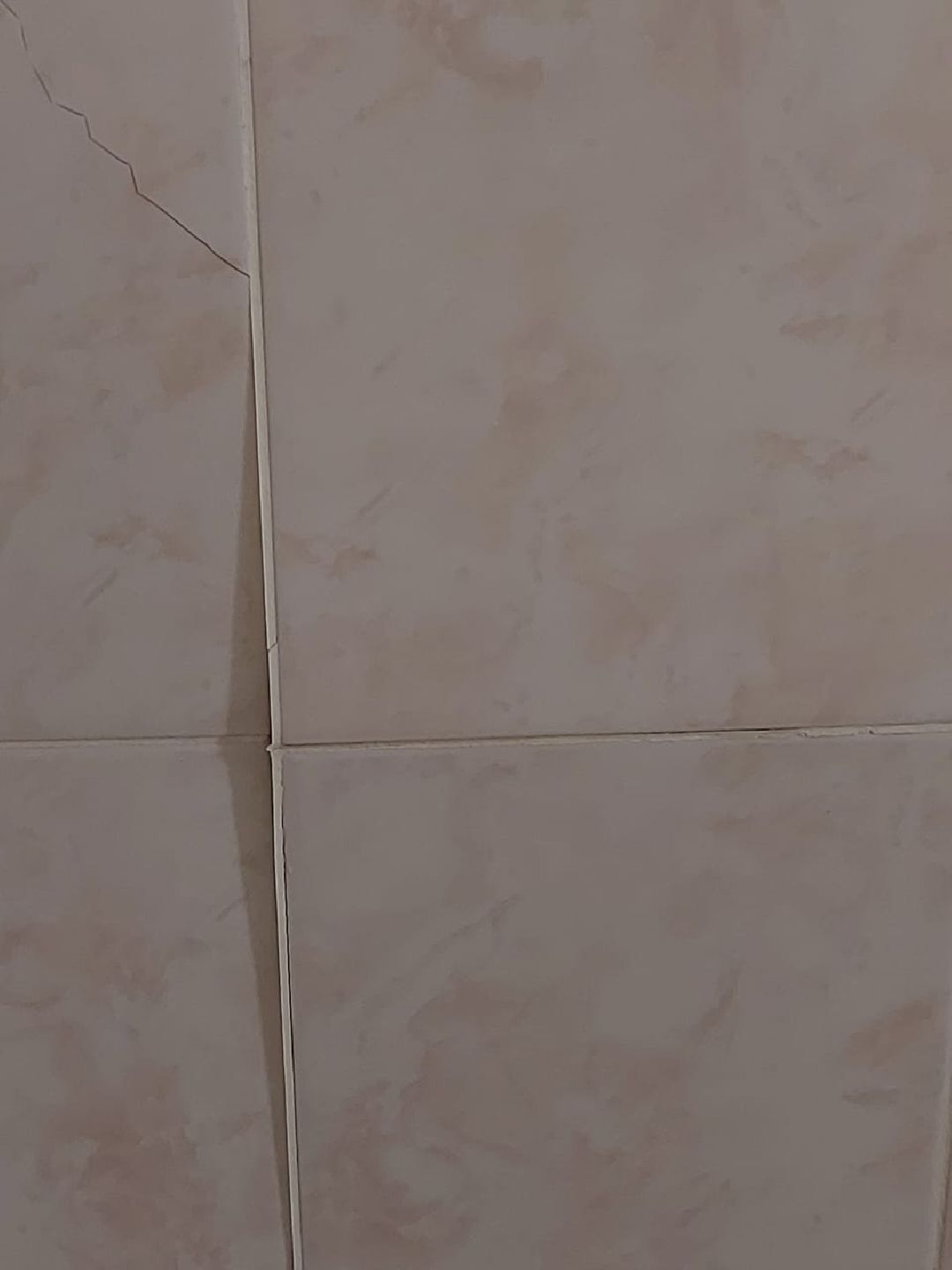 Балашиха, общество