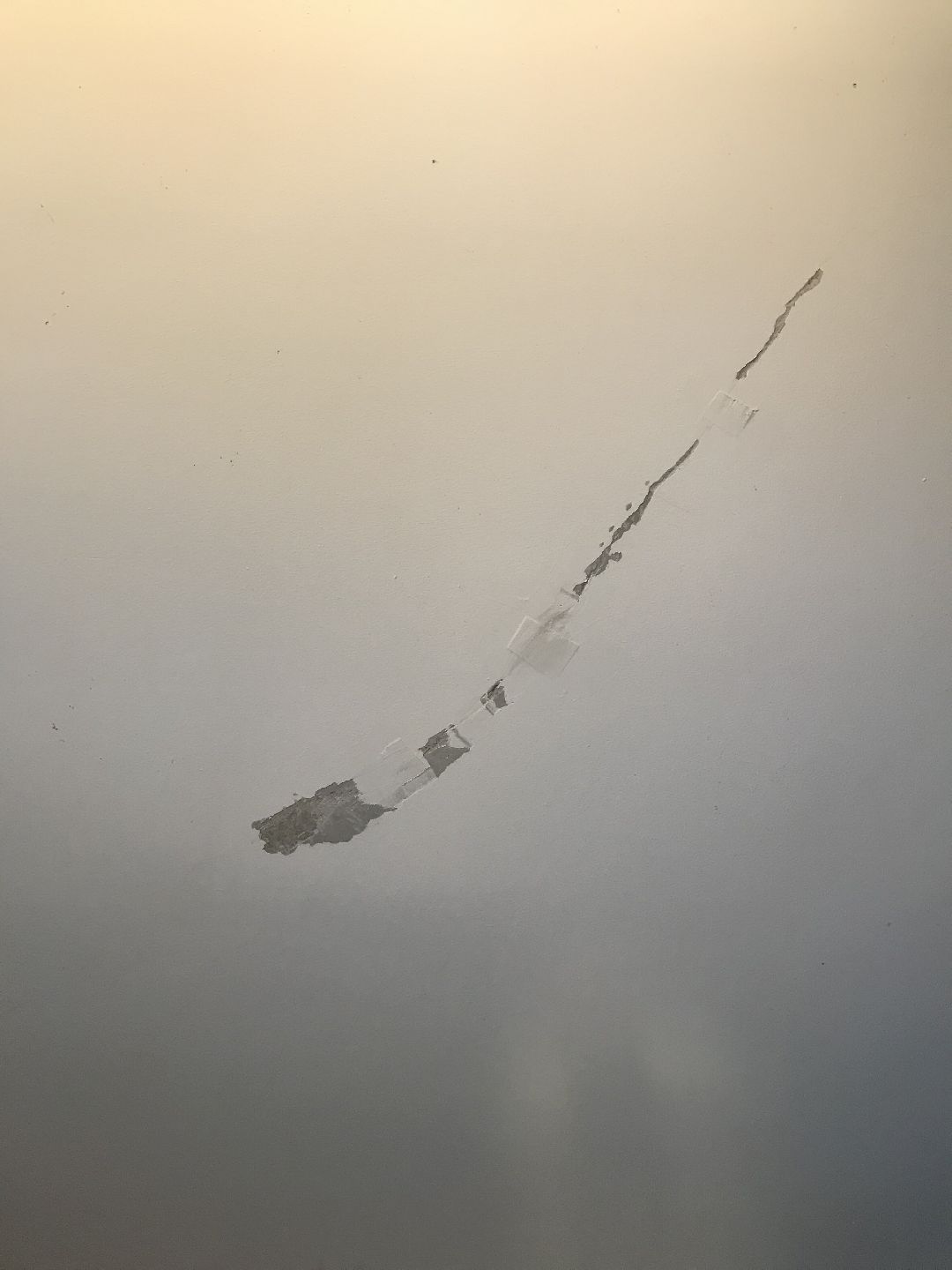 Балашиха, общество