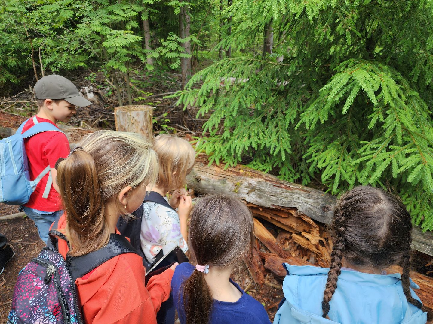 Черноголовка, Экология, Летний лагерь, дети,