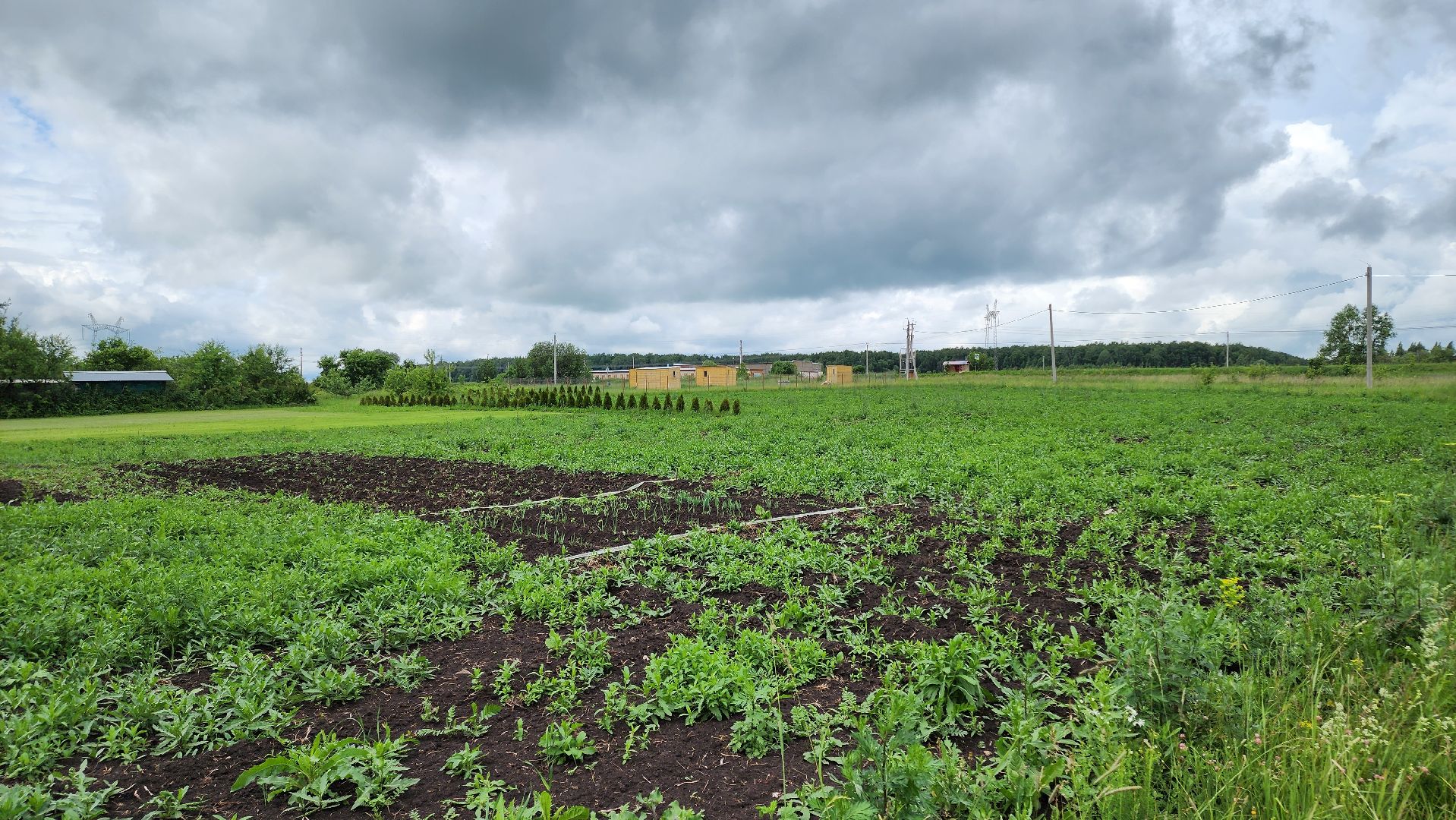 кашира, выездная администрация, наумовское, рудневно, сельский староста, зловонный запах, загрязнение воздуха, костная мука, производство,