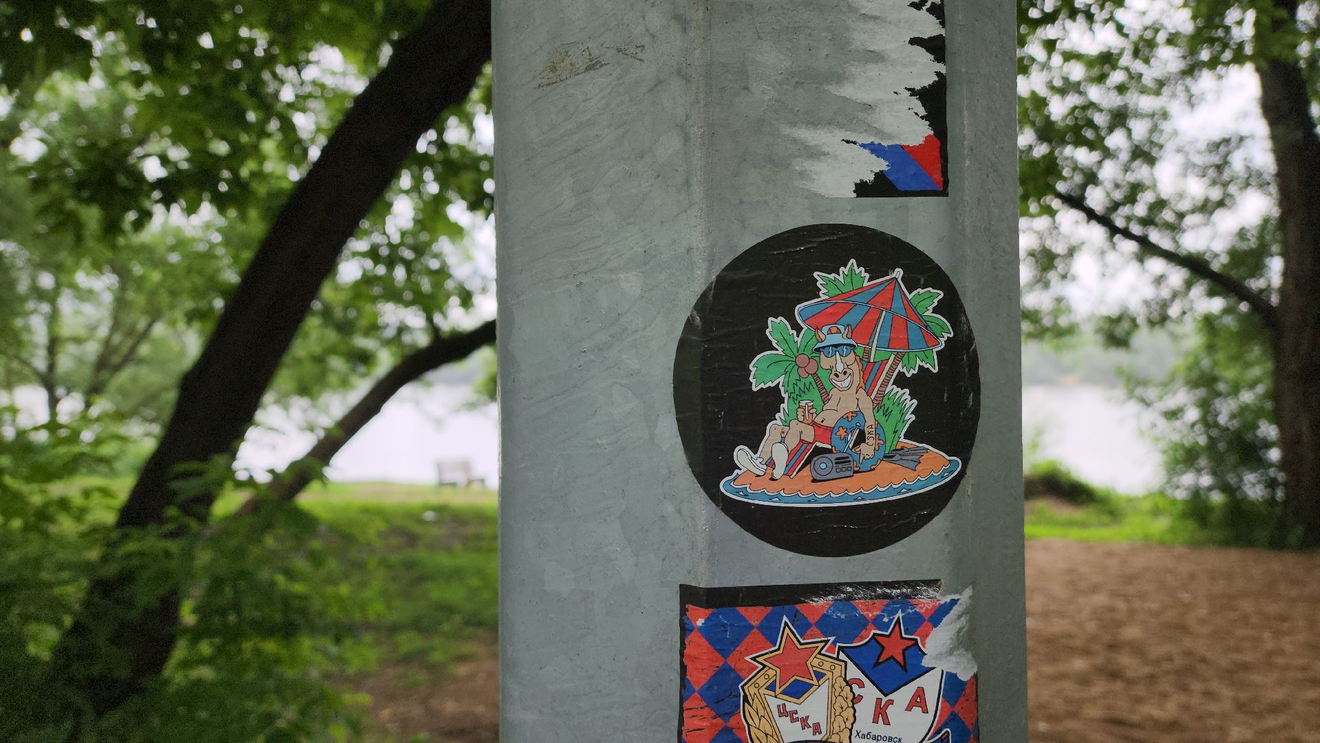 павшино, красногорск, пляж, спасательный пост,