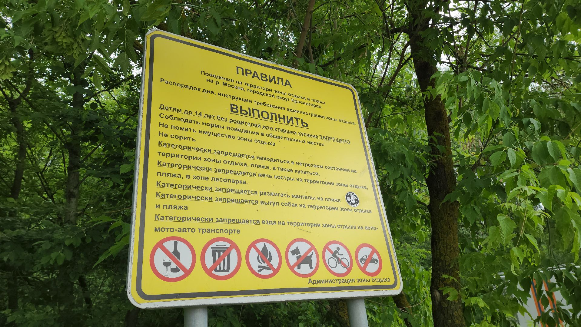 павшино, красногорск, пляж, спасательный пост,