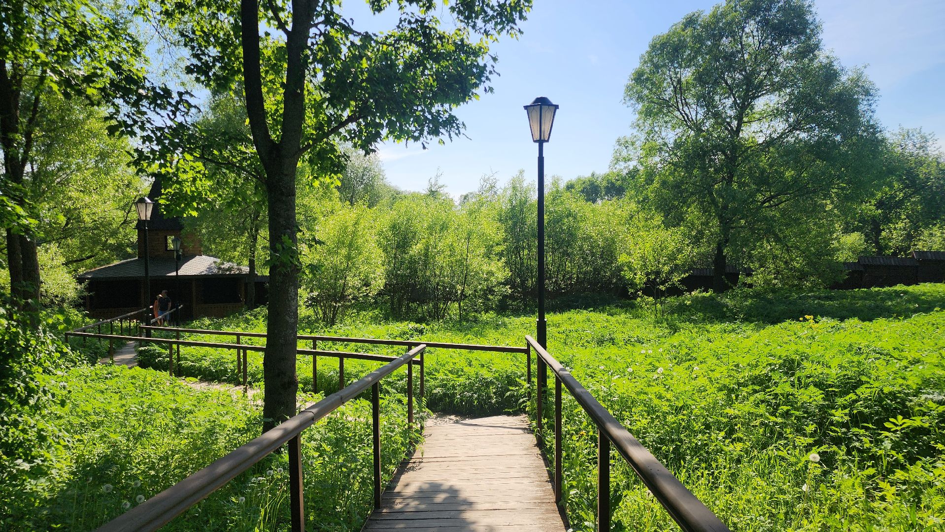 Звенигород, Искусство, Фотосессии,медведь Степан,