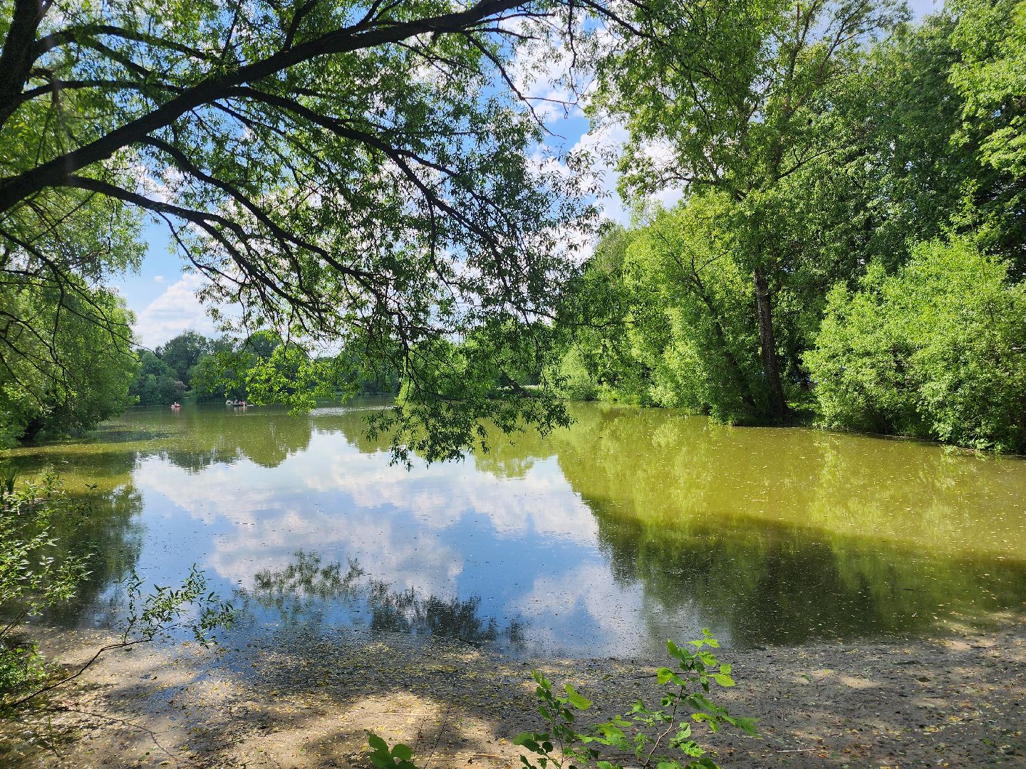 Звенигород, Искусство, Фотосессии,медведь Степан,