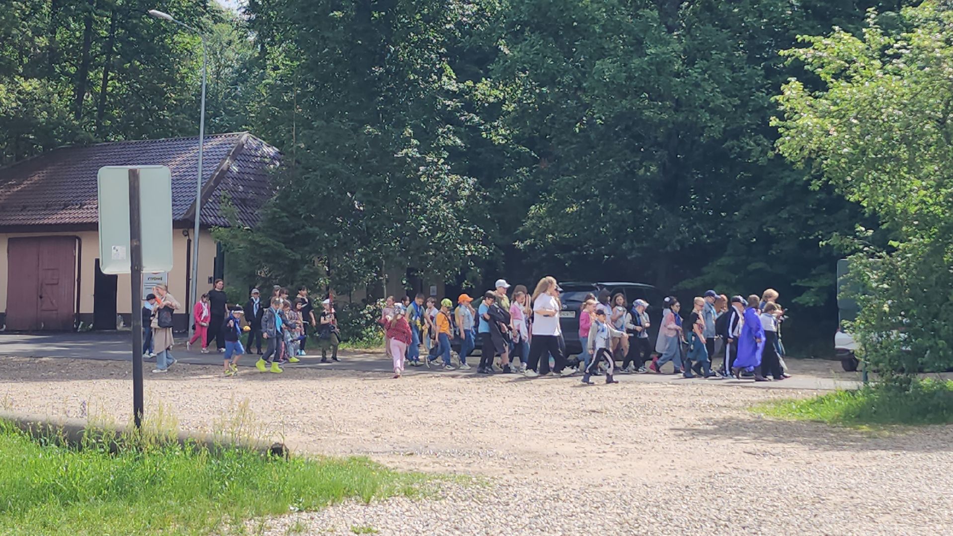 приокско-террасный заповедник, экология, серпухов, подмосковье, природа, зубры,