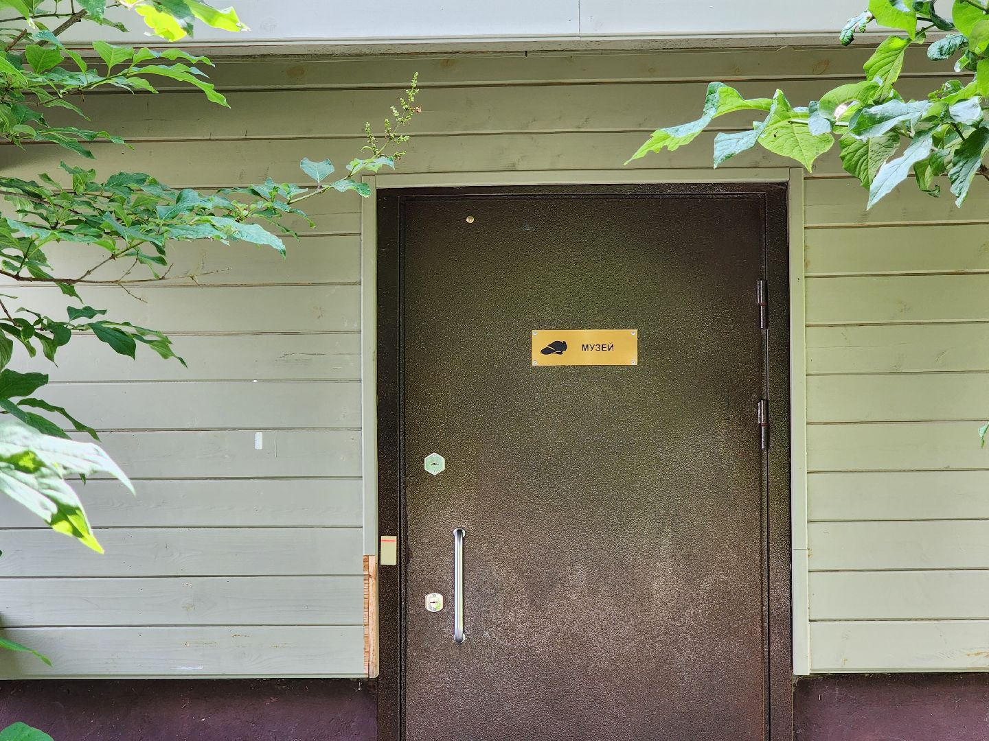 приокско-террасный заповедник, экология, серпухов, подмосковье, природа, зубры,