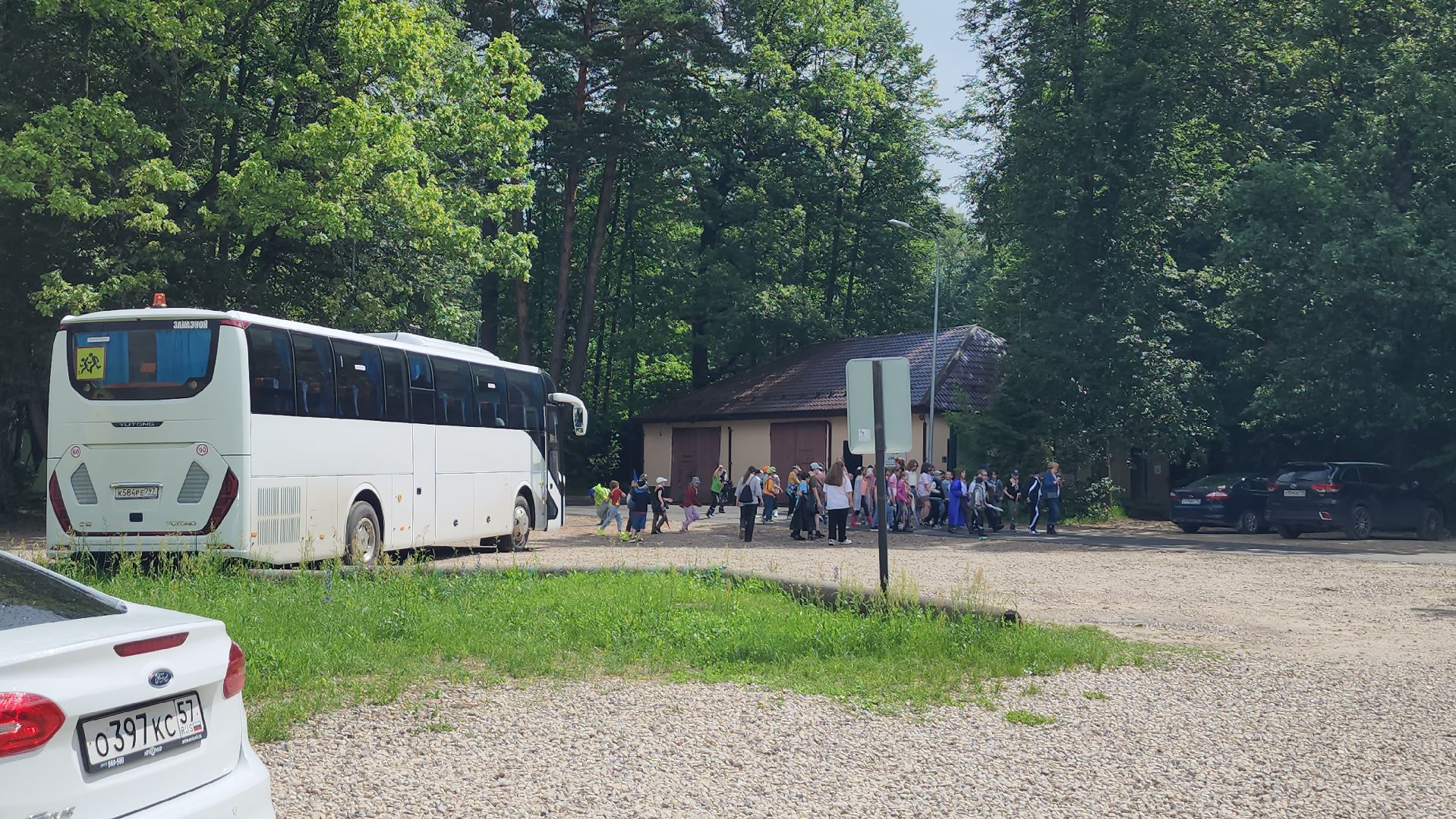 приокско-террасный заповедник, экология, серпухов, подмосковье, природа, зубры,