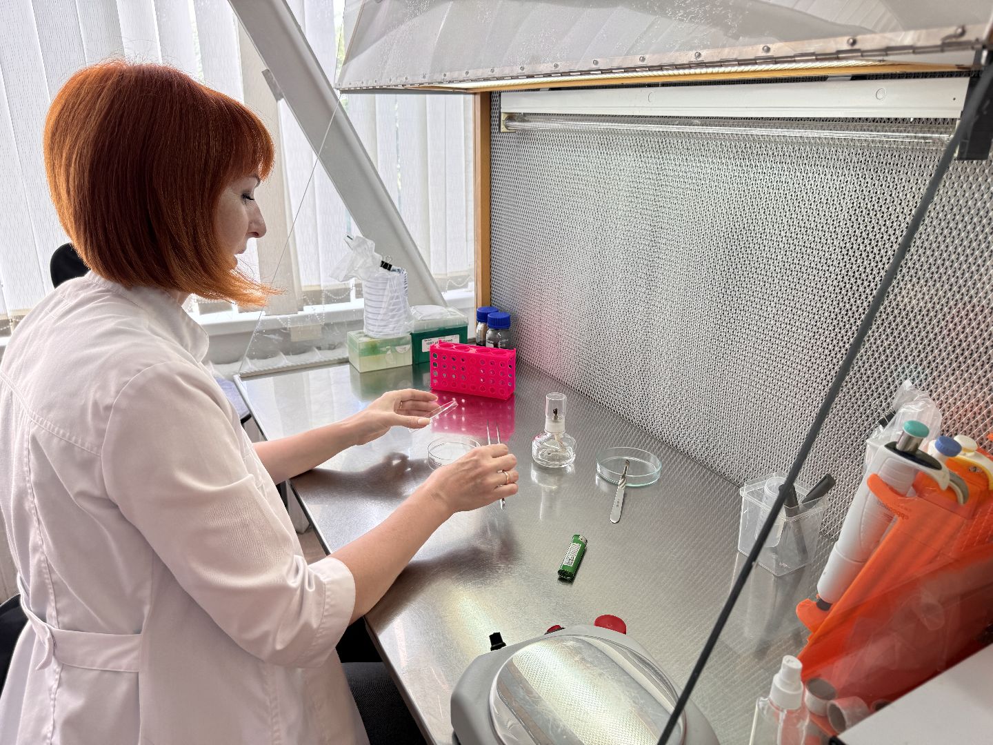 Одинцово, Молодые ученые, ВНИИСОК,