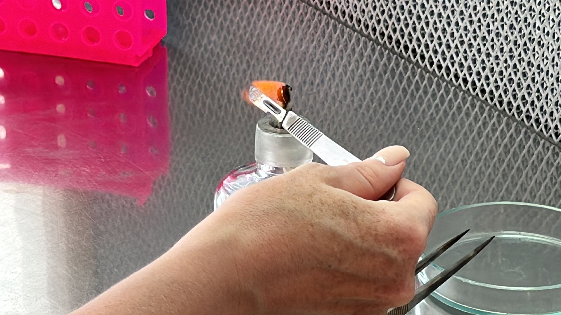 Одинцово, Молодые ученые, ВНИИСОК,