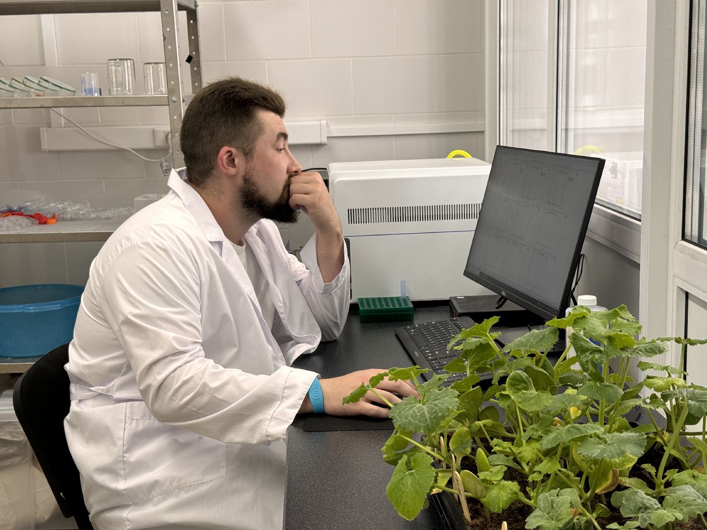 Одинцово, Молодые ученые, ВНИИСОК,