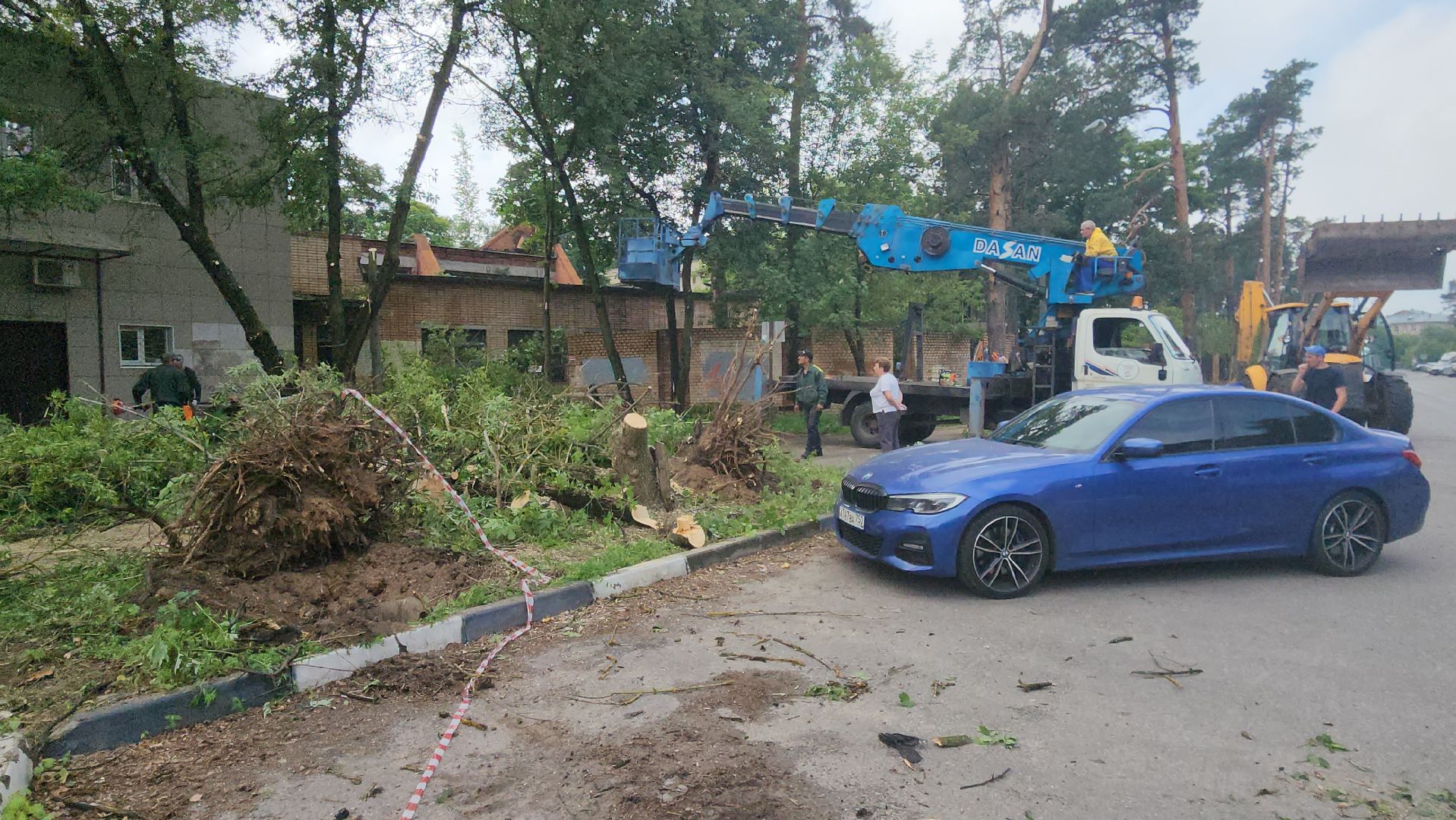 мбу городское хозяйство, сухостой, удаление сухостоя, опиловка, опиловка деревьев, жуковский,