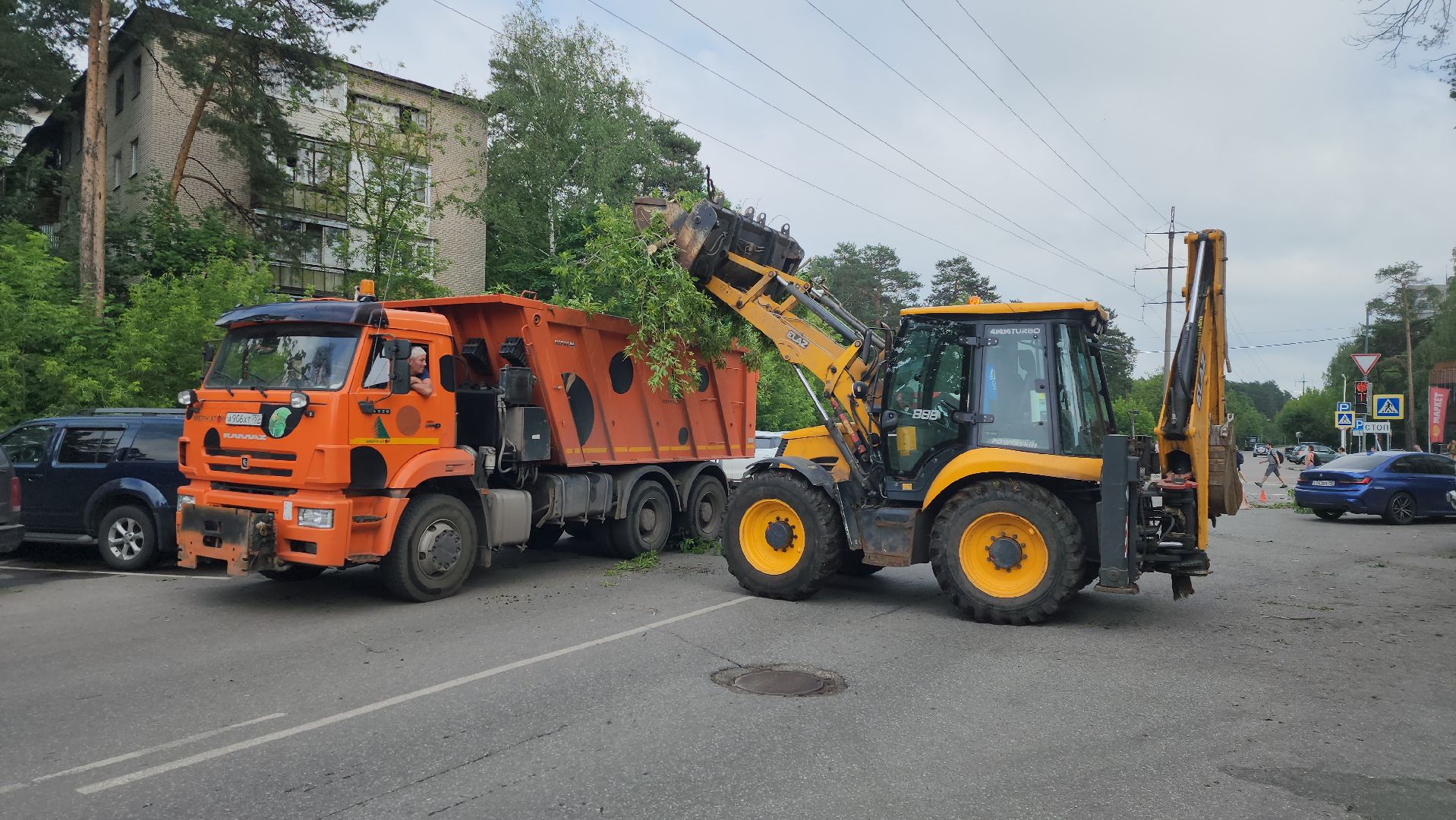 мбу городское хозяйство, сухостой, удаление сухостоя, опиловка, опиловка деревьев, жуковский,