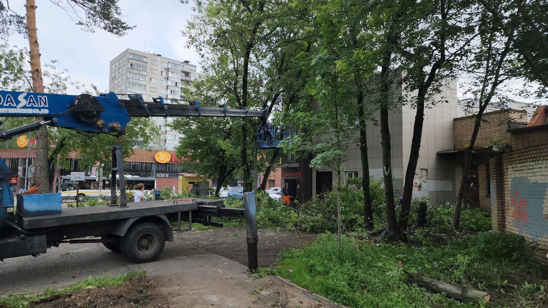 мбу городское хозяйство, сухостой, удаление сухостоя, опиловка, опиловка деревьев, жуковский,