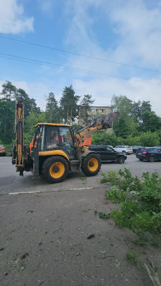 мбу городское хозяйство, сухостой, удаление сухостоя, опиловка, опиловка деревьев, жуковский,