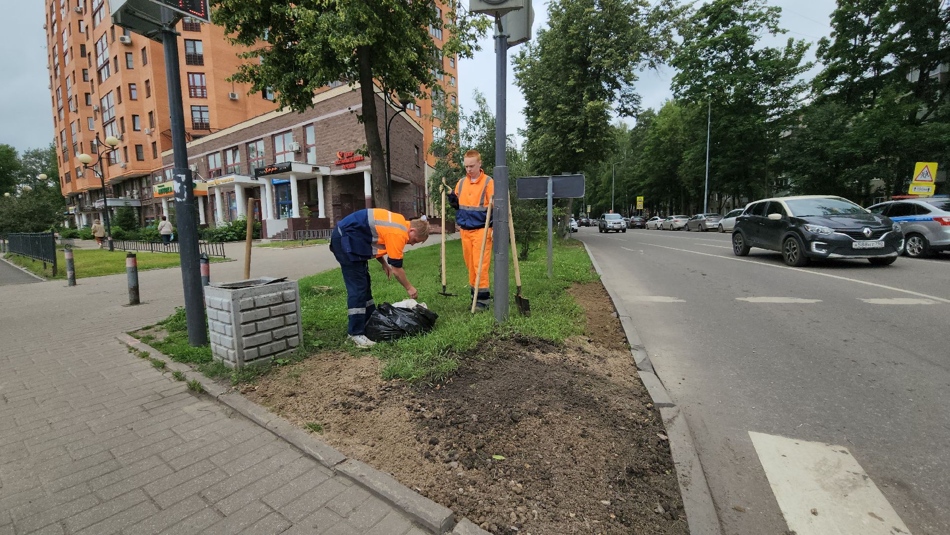 пушкино, благоустройство, газон, трава,