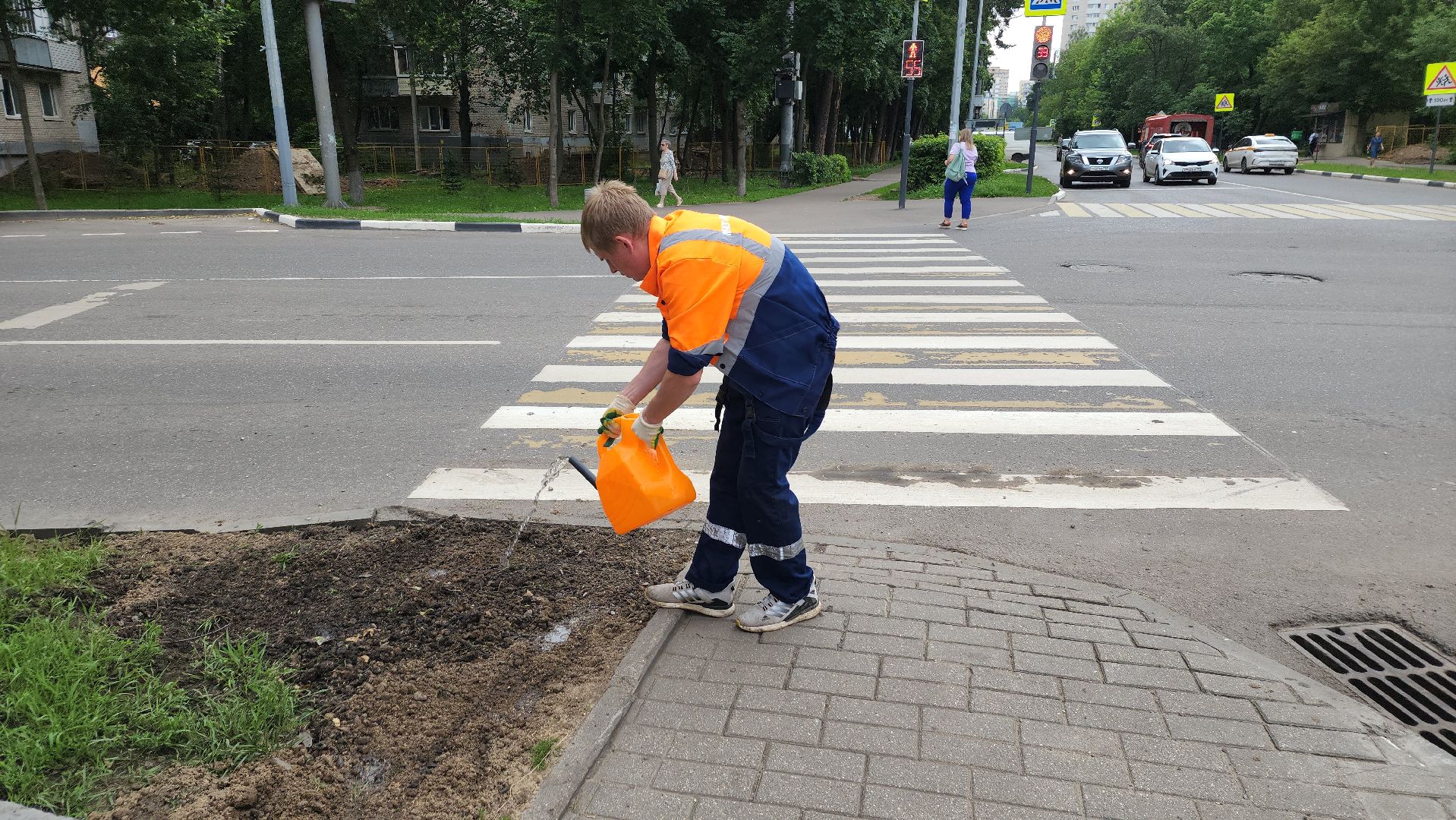 пушкино, благоустройство, газон, трава,