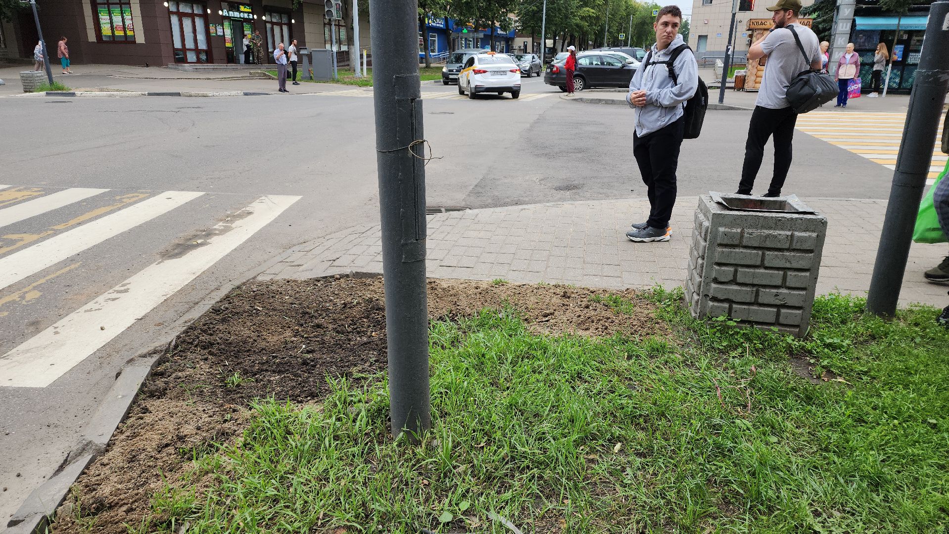 пушкино, благоустройство, газон, трава,