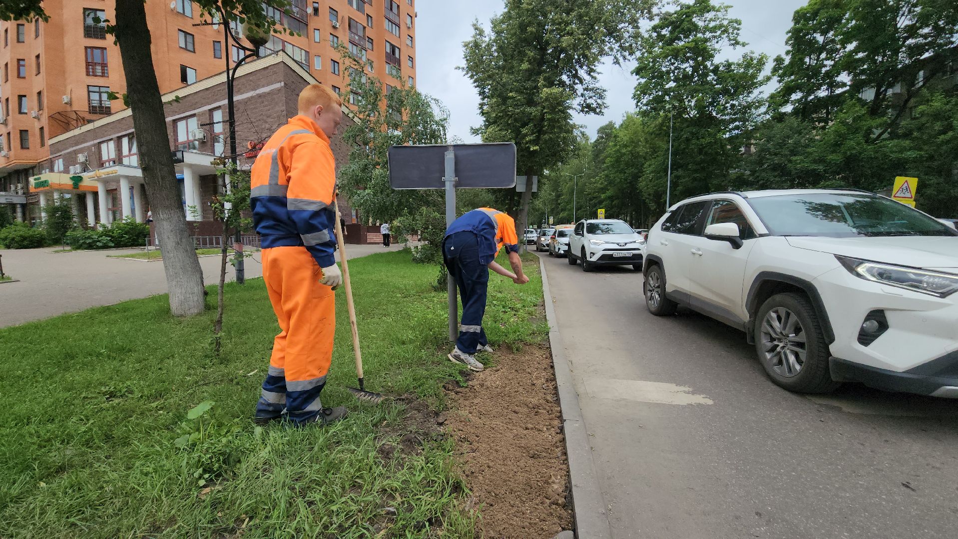 пушкино, благоустройство, газон, трава,