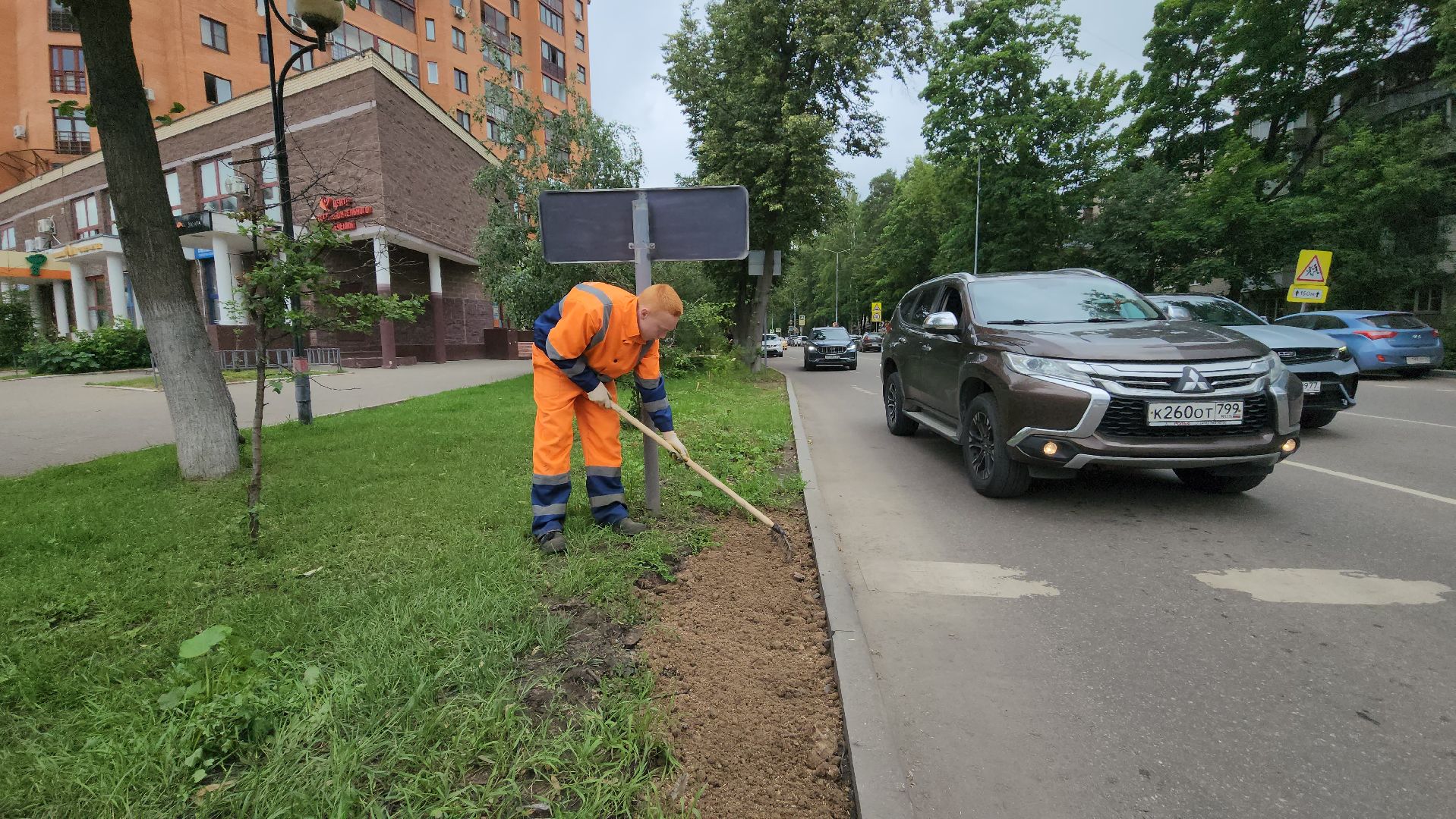 пушкино, благоустройство, газон, трава,