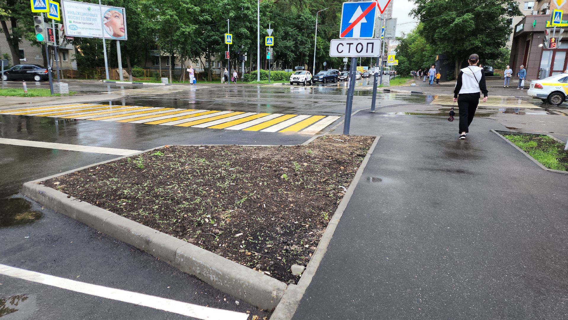 пушкино, благоустройство, газон, трава,