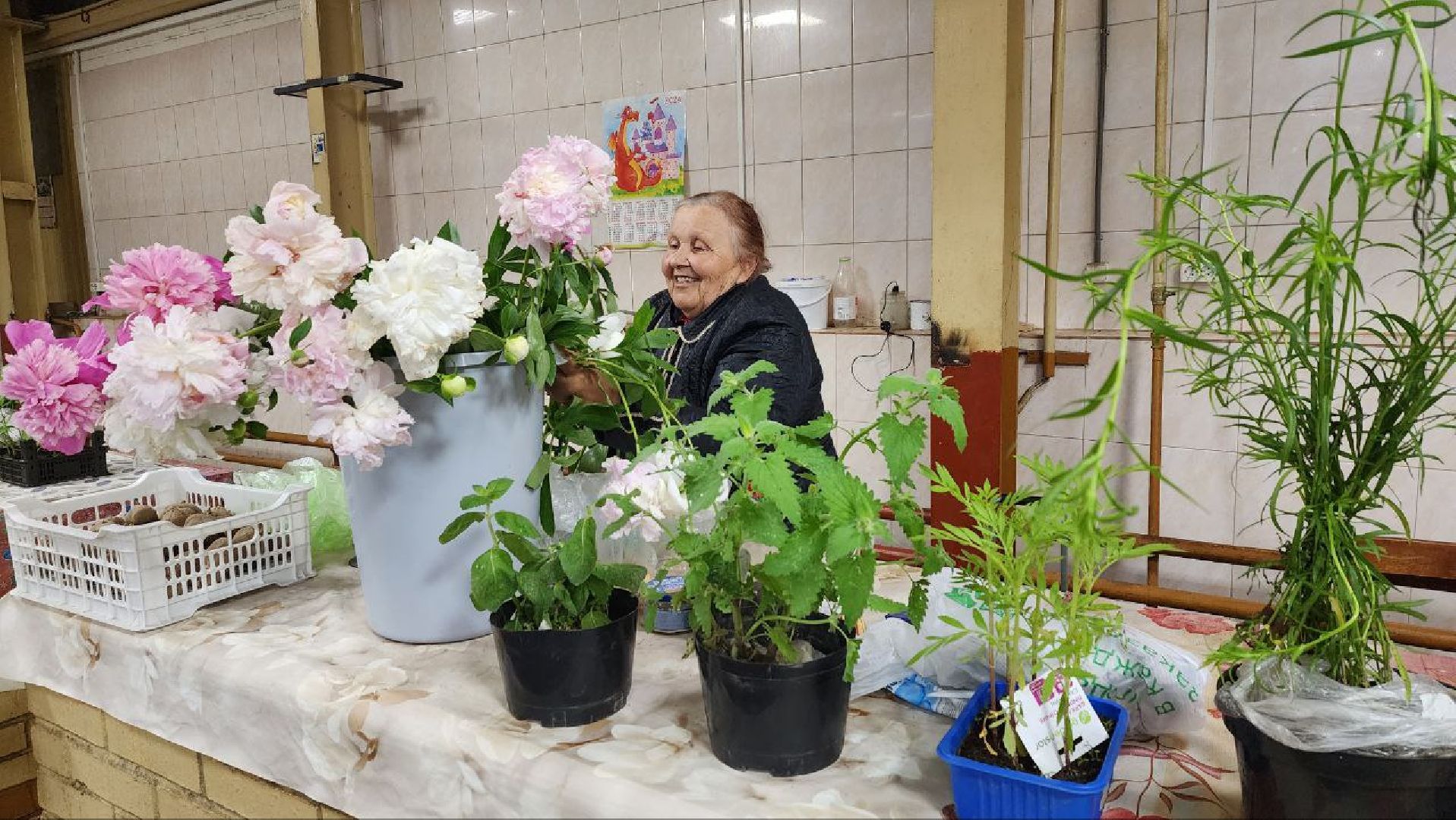 Солнечногорск, рынок, торговля, пенсионеры,