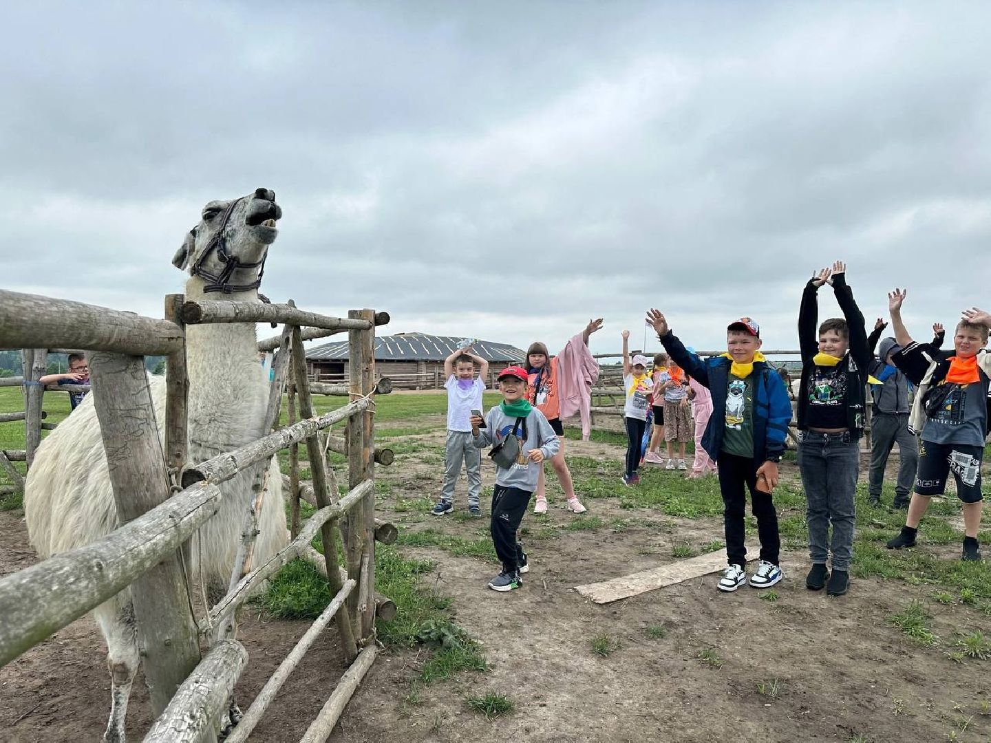 умные каникулы, орехово зуево, летний отдых, школы подмосковья,