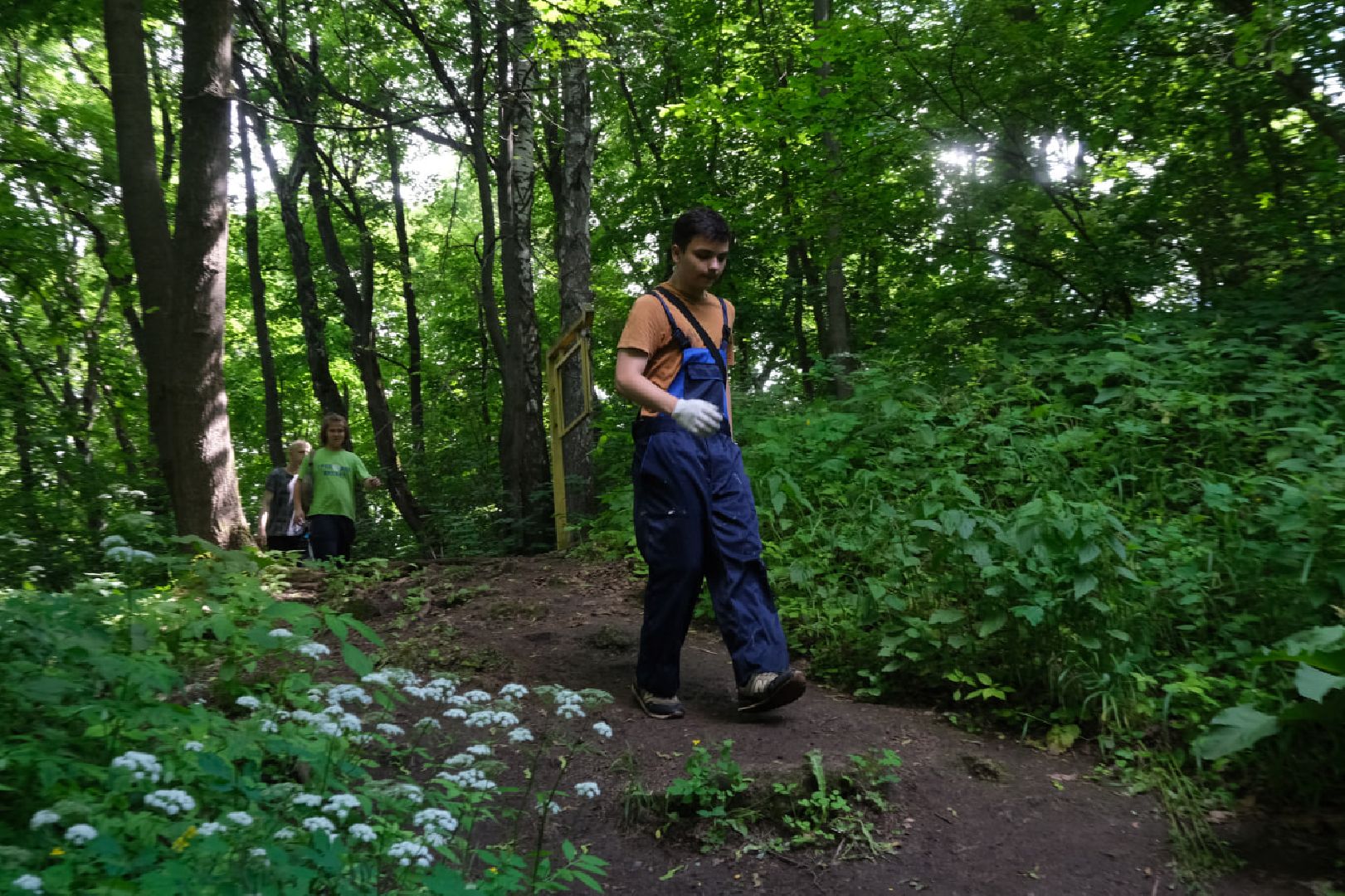 пущино, серпухов, экология,