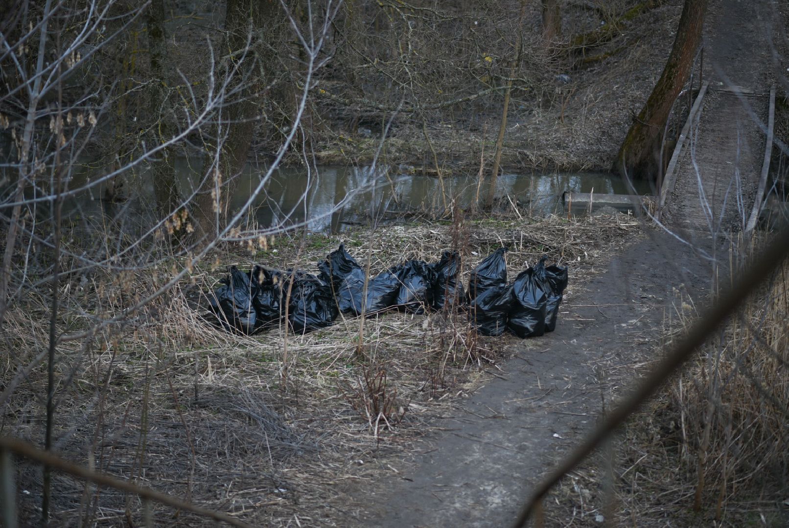 Молодая гвардия, Уборка мусора, Бронницы