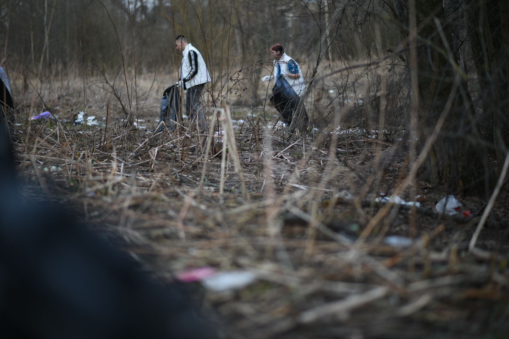 Молодая гвардия, Уборка мусора, Бронницы