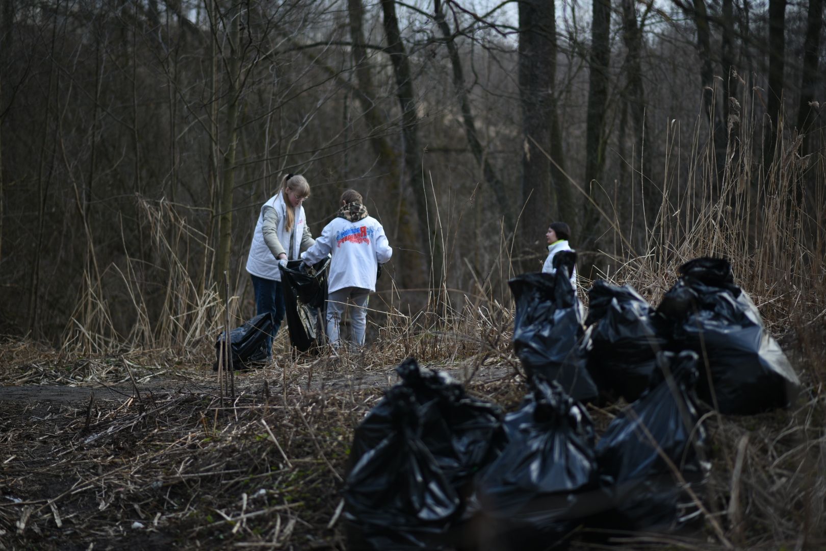 Молодая гвардия, Уборка мусора, Бронницы