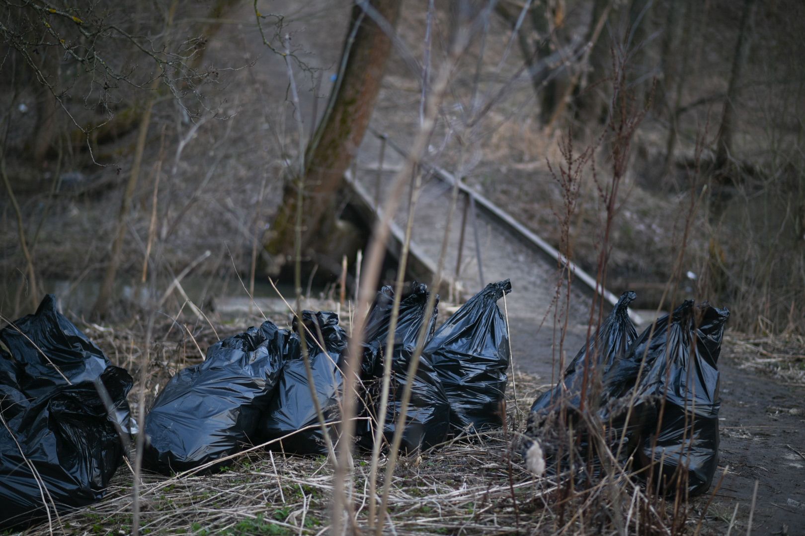 Молодая гвардия, Уборка мусора, Бронницы
