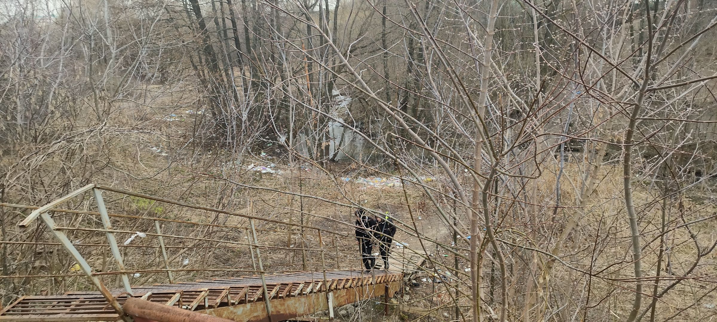 Молодая гвардия, Уборка мусора, Бронницы