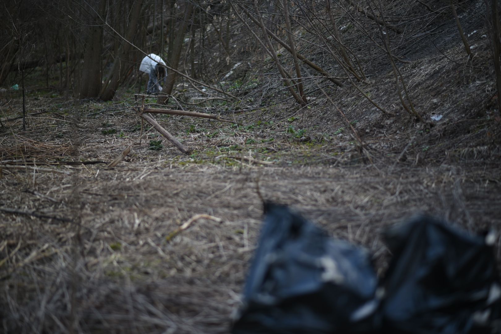 Молодая гвардия, Уборка мусора, Бронницы