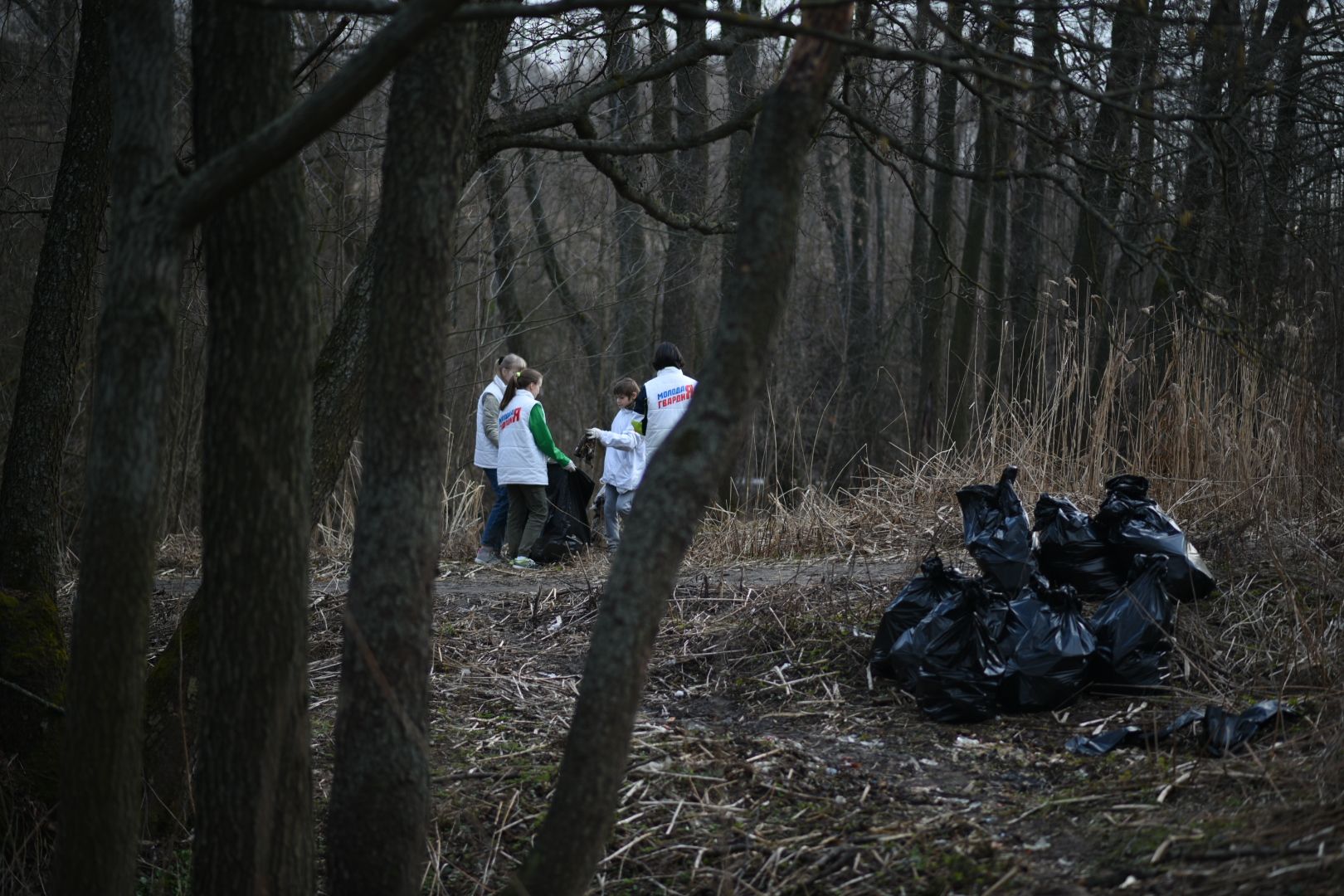 Молодая гвардия, Уборка мусора, Бронницы