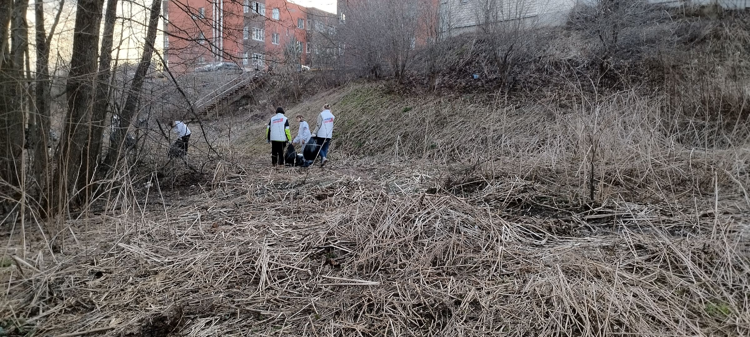 Молодая гвардия, Уборка мусора, Бронницы