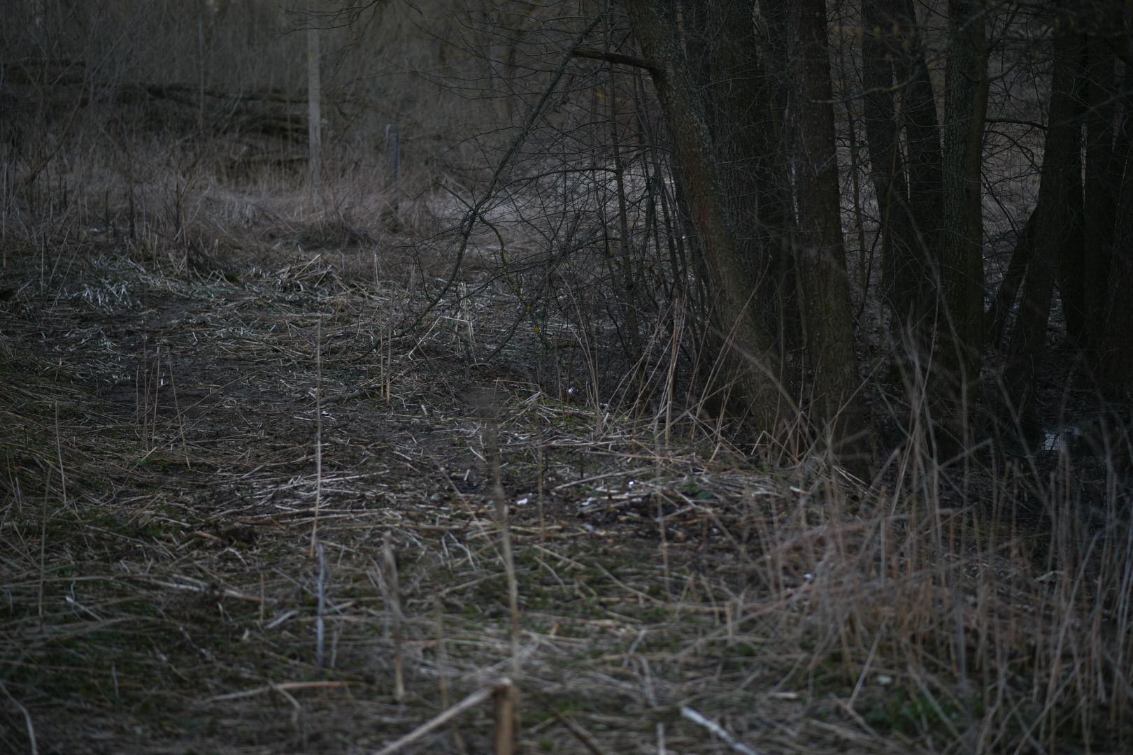 Молодая гвардия, Уборка мусора, Бронницы