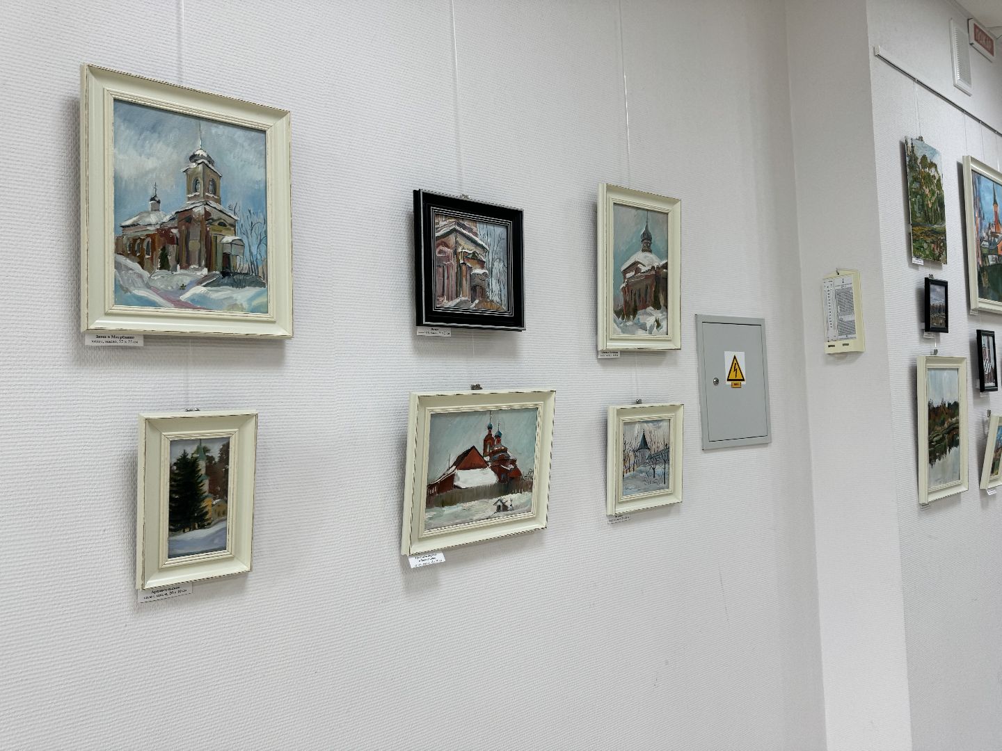 шаховская, выставка, художественная выставка, художник,