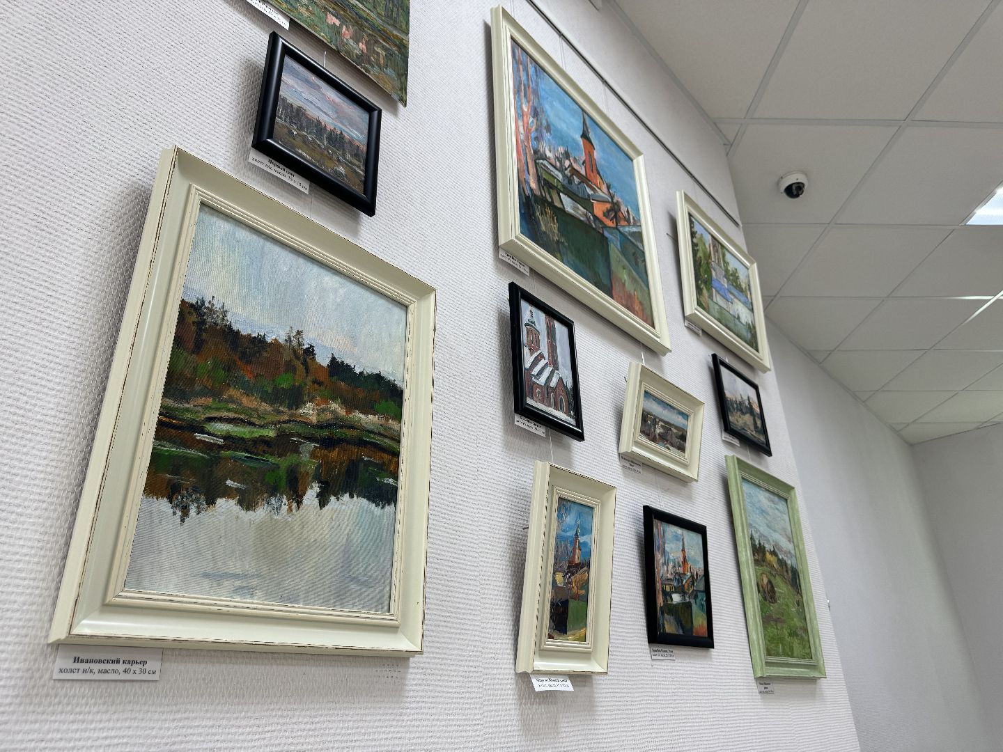 шаховская, выставка, художественная выставка, художник,