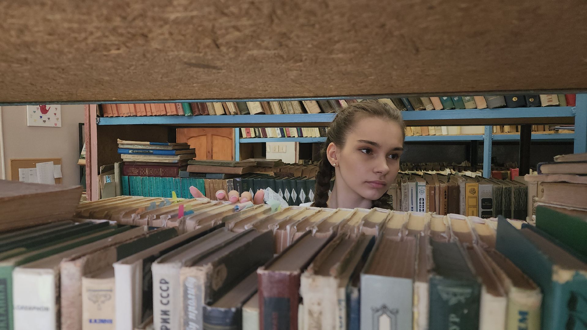 ступино, стобальник, егэ, образование подмосковья,