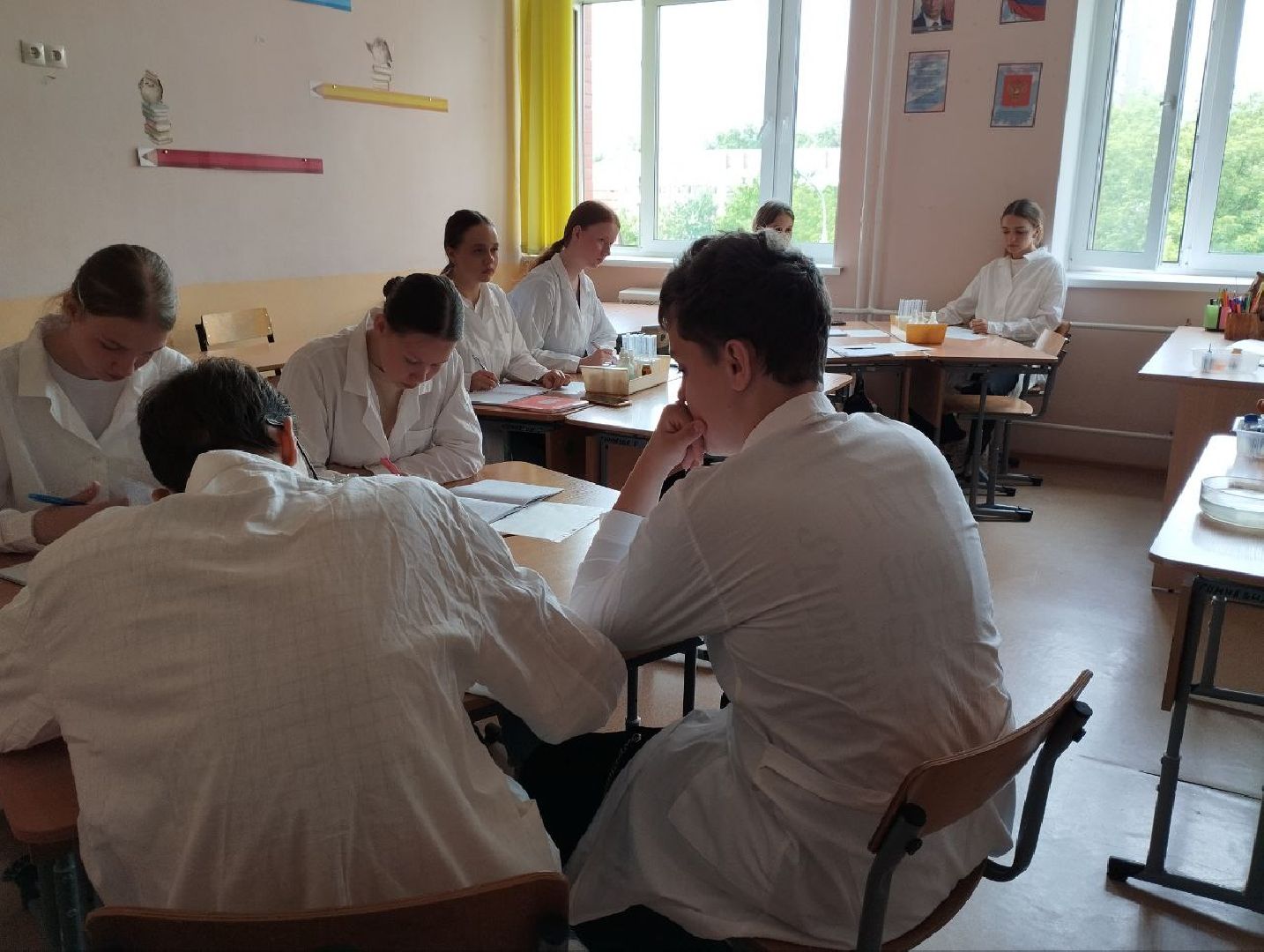 Умные каникулы, лето с знаниями, Домодедово, гимназия 5,