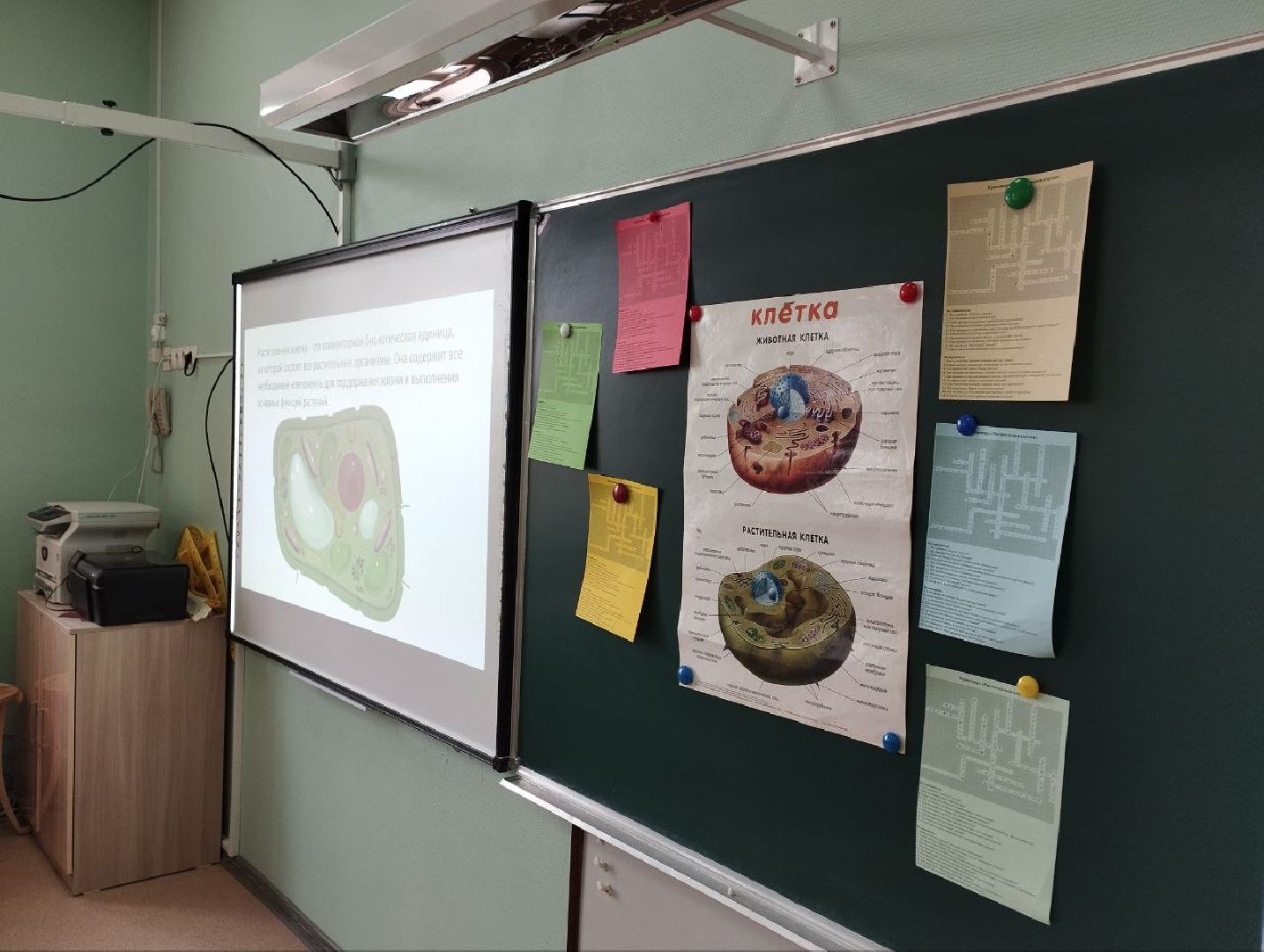 Умные каникулы, лето с знаниями, Домодедово, гимназия 5,