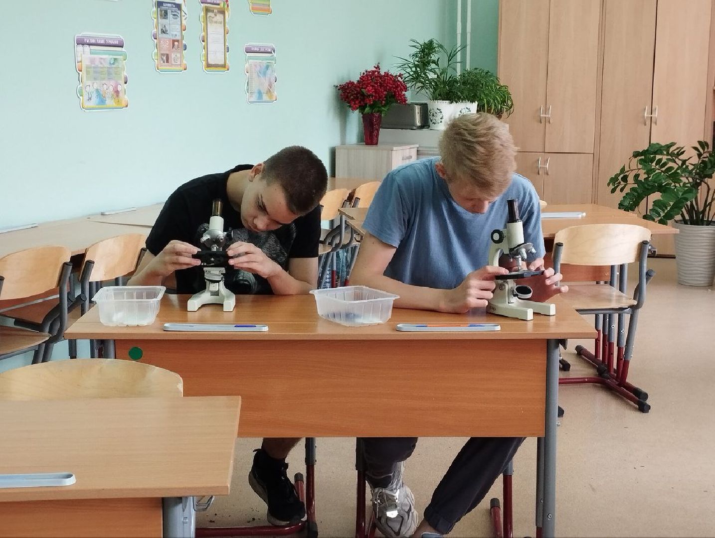 Умные каникулы, лето с знаниями, Домодедово, гимназия 5,